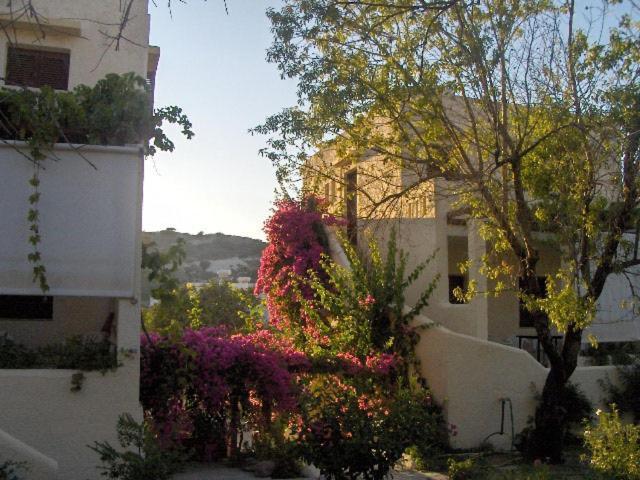 Zini 2a
